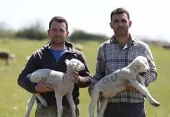 İki kardeşin 1 milyonluk yatırımı servete dönüştü: Çocuklarımla gurur duyuyorum