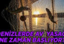 Balıklara av yasağı ne zaman başlıyor? Denizlerde balık yasağı dönemi ne zaman bitecek 2026?