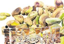 Savaş var ama asıl sorun iklim