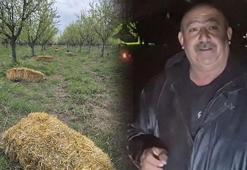 Teknoloji değil, dededen kalan yöntem kurtaracak: Büyüklerimizden bize miras
