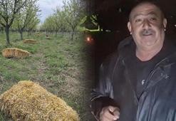 Teknoloji değil, dededen kalan yöntem kurtaracak: Büyüklerimizden bize miras