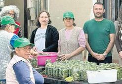 Kadın eliyle Datça çağlası