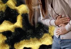 Kabızlığa karşı yeni doğal çözüm! Uzmanlar bu tropikal meyveyi öneriyor