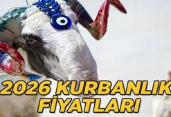 YENİ KURBANLIK FİYATLARI 2026: Bu yıl büyükbaş ve küçükbaş kurbanlık fiyatları ne kadar, kilogram kaç TL? Koç, dana, koyun, küçükbaş ve büyükbaş kurbanlık fiyatları