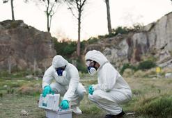 Mezarlıkta gizlenen dehşet! Kimliği belirsiz 50 bebek cesedi bulundu