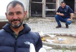 8 yaşında hobi olarak başladı, 35 yıl geçti! Şimdi sayısı 215'i buldu: ‘Meraklı olmayan yapamaz’