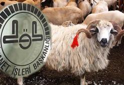 VEKALETLE KURBAN KESİM BEDELİ 2026 belli oldu! Diyanet duyurdu: Vekalet yoluyla kurban kesim bedeli ne kadar? Yurt içi ve yurt dışı fiyatları...