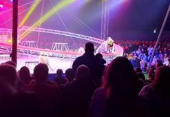 Sirkte dehşet dolu anlar! Bariyer çöktü, kaplan seyircilerin arasına daldı