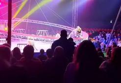 Sirkte dehşet dolu anlar! Bariyer çöktü, kaplan seyircilerin arasına daldı