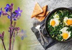 Kaldirik mevsimi geldi! Tezgahta bulan yumurtaları kırsın: Protein deposu