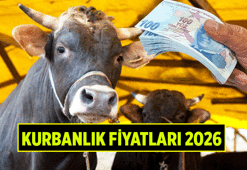 VEKALETLE KURBAN KESİM BEDELİ YURT İÇİ YURT DIŞI NE KADAR? Kurban Fiyatları ne kadar? 2026 Kurbanlıkta küçükbaş ve büyükbaş hayvanlar kaç TL?