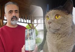 Aile CİMER’e başvurdu! Açıklama geldi: Bu aşı yüzünden çok fazla köpek ve kedi telef oldu
