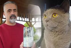 Aile CİMER’e başvurdu! Açıklama geldi: Bu aşı yüzünden çok fazla köpek ve kedi telef oldu