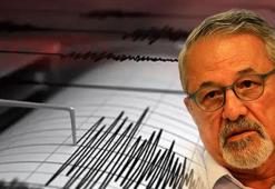 Bingöl'de 4.4 büyüklüğünde deprem! Prof. Dr. Naci Görür'den ilk açıklama