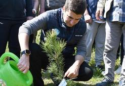Düzce'de MHP Genel Başkanı Bahçeli adına hatıra ormanı oluşturuldu