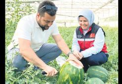 Sezonun ilk karpuzları tezgahta