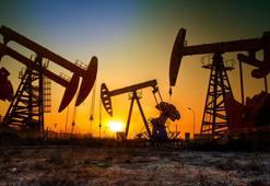 Citi'den petrol tahmini