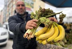 400 TL’ye kapış kapış satılıyor, senede bir sefer çıkıyor: Bildiğiniz her şeye şifa