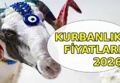 GÜNCELDEKİ KURBANLIK FİYATLARI 2026 📌 Büyükbaş ve küçükbaş (dana, koç, koyun) kurbanlık fiyatları ne kadar, belli oldu mu? Diyanet vekaletle kurban kesim bedeli ne kadar?