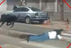 Kent merkezinde domuz saldırısı! 3 kişiyi hastanelik etti, valilikten açıklama geldi