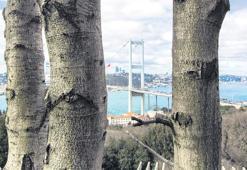 Gençler İstanbul’a bakınca ne görüyor?