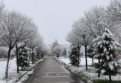 Fotoğraflar bugün çekildi! Mayıs ayında kar sürprizi... Kent merkezi bembeyaz
