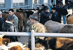 Kurbanlık fiyatı 25 bin liradan başlıyor