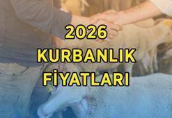 KURBANLIK FİYATLARI CANLI KİLO 2026: Büyükbaş ve küçükbaş hayvan (dana, koç, koyun) kurbanlık fiyatları ne kadar? Diyanet vekaleten kurbanlık fiyatları