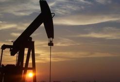 Petrolün varili 113 dolardan işlem görüyor