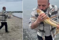 Dünyanın 'en değerli hazinesi'ni buldu! Görüntülere yorum yağdı: Kral hareket