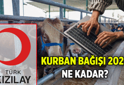 Bu sene Kızılay Kurban Bağışı hisse bedeli ne kadar? 2026 Türk Kızılayı'na Kurban Bağışı nasıl yapılır?