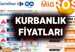 KURBANLIK FİYATLARI Migros, CarrefourSA, Biçen: Marketlerde kurbanlık fiyatları ne kadar? 2026 Migros, Carrefour büyükbaş, küçükbaş kurbanlık fiyatları
