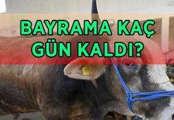 KURBAN BAYRAMI BAŞLANGIÇ VE BİTİŞ TARİHİ 2026: Bayrama kaç gün kaldı? 2026 Kurban Bayramı ne zaman, hangi gün?
