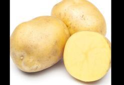Avrupa’da patates şoku