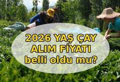 YAŞ ÇAY ALIM FİYATI 2026 📍 Yaş çay alım fiyatı açıklandı mı! Yaş çay kilogram alım fiyatı ne kadar oldu?