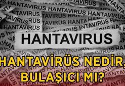 HANTAVİRÜS NEDİR, BELİRTİLERİ NELER? Hantavirüs nasıl bulaşır, insandan insana geçer mi, korunma yolları nelerdir?