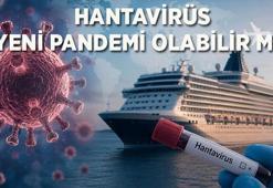 YENİ PANDEMİ OLABİLİR Mİ? Hantavirüs nedir, nasıl bulaşır, insandan insana geçer mi? Hantavirüs belirtileri nelerdir?