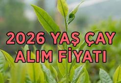 YAŞ ÇAY ALIM FİYATI 2026: Yaş çay alımı kilogram fiyatı ne kadar, açıklandı mı? Yaş çay alımı ne zaman başlayacak?