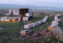 Karadeniz'in gezgin arıcıları rotayı değiştirdi: 'Müşteri sıkıntısı yaşamıyoruz'