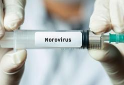 NOROVİRÜS NEDİR, BULAŞICI MI? Norovirüs belirtileri nelerdir? Norovirüs korunma yolları nelerdir?