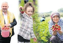Mis kokulu festival yarın başlıyor