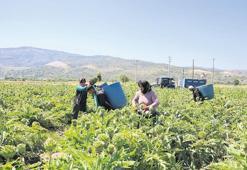 Suyu verimli kullanan tarımda kazanacak