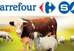 CARREFOUR KURBANLIK FİYATLARI 2026: Carrefour büyükbaş, küçükbaş kurbanlık fiyatları ne kadar?