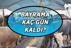 BAYRAM İÇİN GERİ SAYIM! Kurban Bayramı kaç gün kaldı? 2026 Kurban Bayramı bu yıl hangi tarihlere denk geliyor, bayram tatili ne zaman başlayacak?