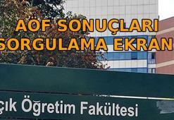 AÖF SONUÇLARI SORGULAMA EKRANI 2026 👨‍💻 AÖF sonuçları nereden sorgulanır? AÖF yaz okulu ne zaman?