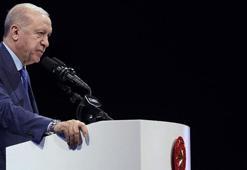 Cumhurbaşkanı Erdoğan: Türkiye ekonomisini şoklara karşı dirençli hale getirdik