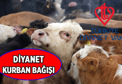 Türkiye Diyanet Vakfı duyurdu 📍 Kurban Bağışı nasıl yapılır? 2026 Diyanet kurban bağışı ne kadar? İşte yurt içi ve yurt dışı kurban bağışı fiyatları