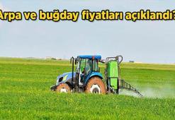 2026 Buğday fiyatları: Arpa ve buğday fiyatları açıklandı mı, ne zaman açıklanacak? Hububat, arpa ve buğday alım fiyatı