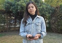 Doktor İrem’i darbeden sanıklara karar çıktı! Saçını koparıp yere düşürmüşlerdi