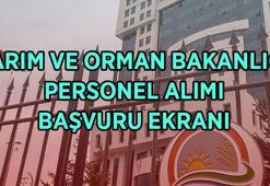 PERSONEL ALIM EKRANI 2026: Doğa Koruma ve Milli Parklar personel alımı başvuruları ne zaman, şartları neler, KPSS şartı var mı?